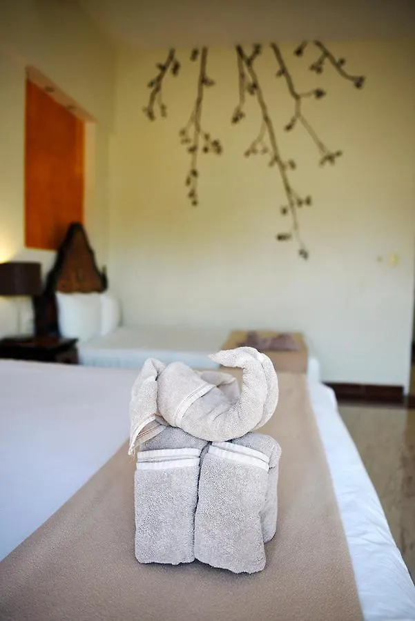 ***  Hotel Mt Tulum Mexico